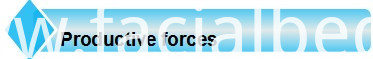 Productive Forces Productive Forces